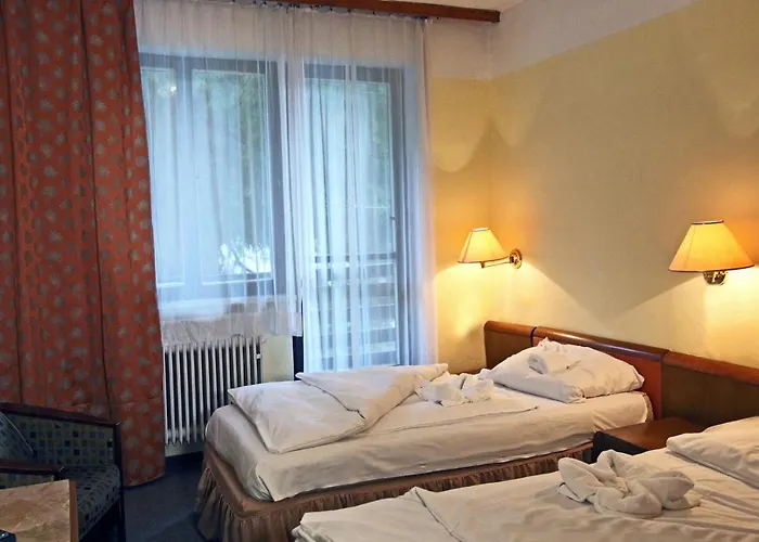 Üdülőpark Medlov Depandance 3*